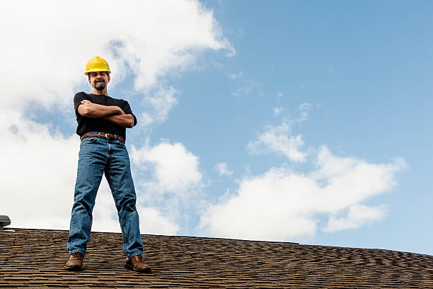 Roof Gutter Cleaning in Linden, AL